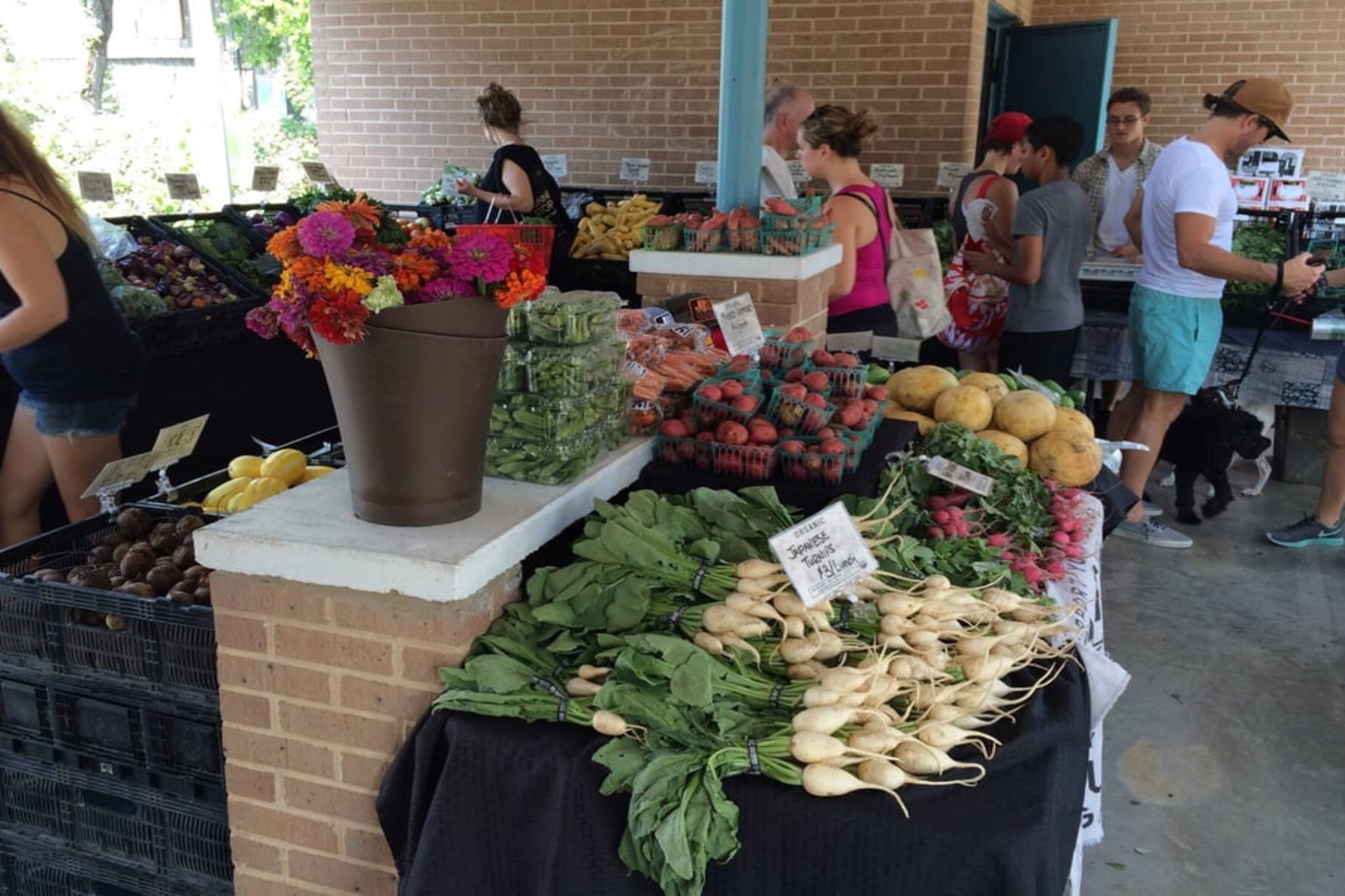 9 Best Farmers’ Markets in Austin for Fresh Produce