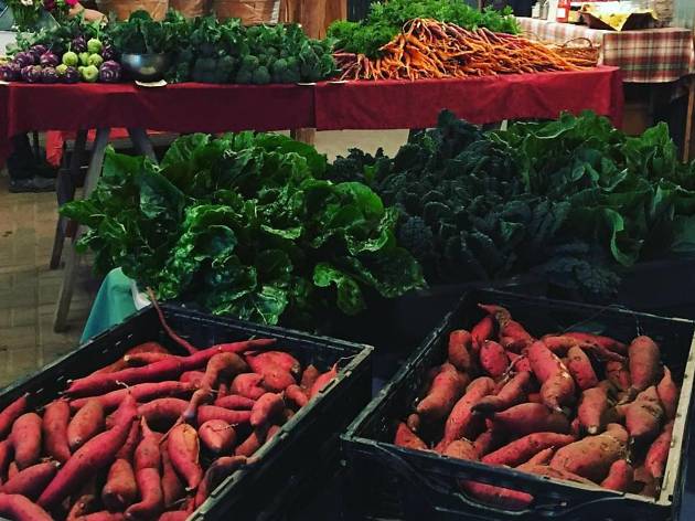 Boggy Creek Farm Boggy Creek Farm