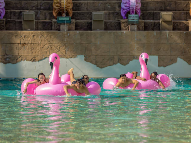 Adventure Cove Waterpark Splash Bash Adventure Cove Waterpark Splash Bash