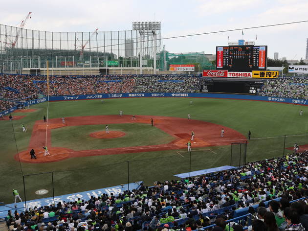 Jingu Stadium | Things to do in Shinanomachi, Tokyo