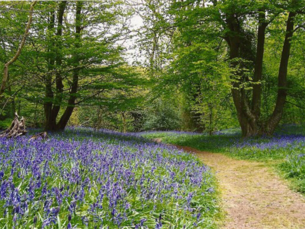 best day trips from london in spring