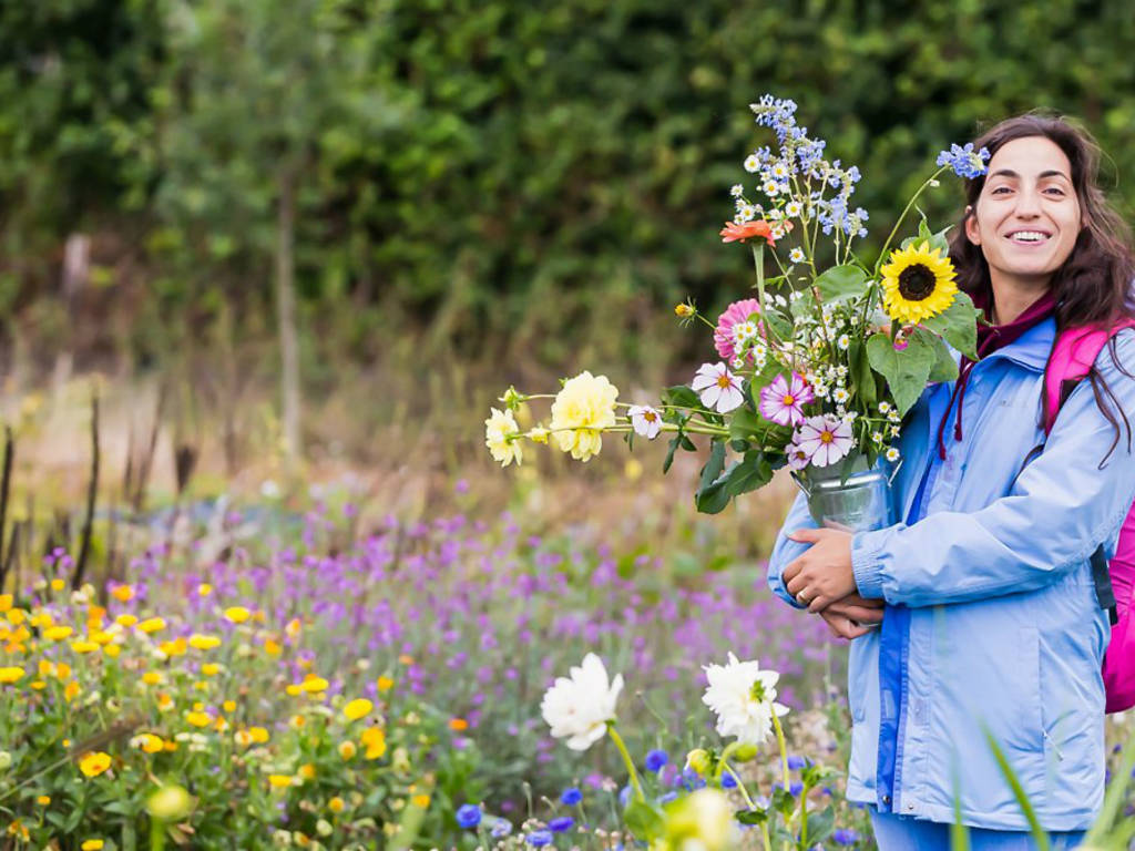 12 Day Trips From London For Flower Lovers: Flower Fields Near London