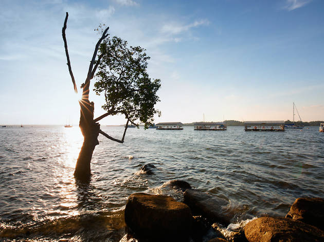 Changi Boardwalk Changi Boardwalk