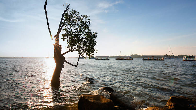 Changi Boardwalk