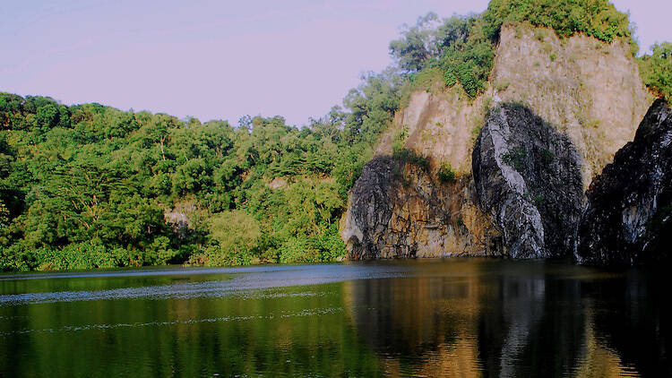 Bukit Timah Nature Reserve