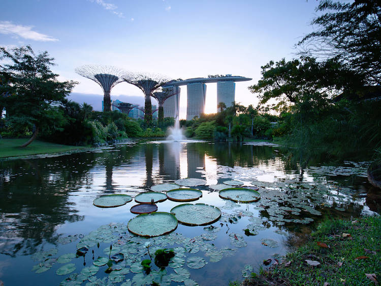 Dragonfly and Kingfisher Lake - Gardens by the Bay