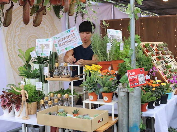 Mini plants from The Chlorofeel Shop