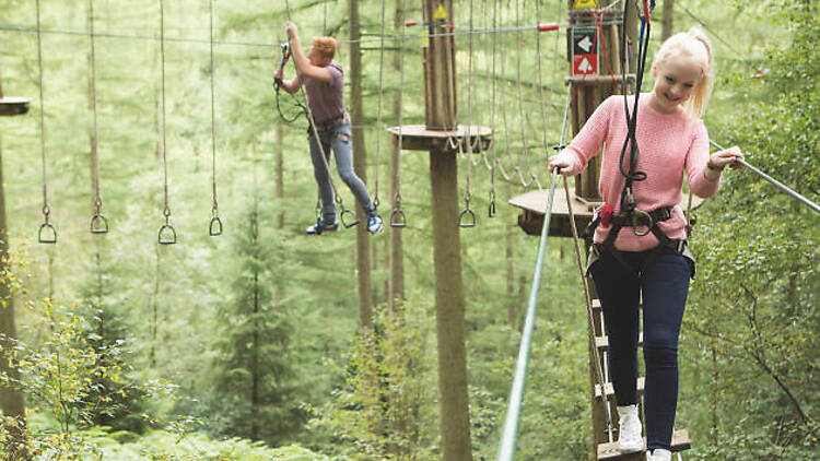 Go Ape! Black Park