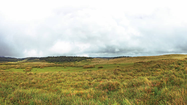 Horton Plains National Park 