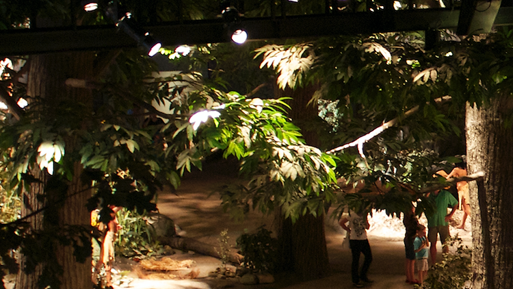 Mashantucket Pequot Museum and Research Center 