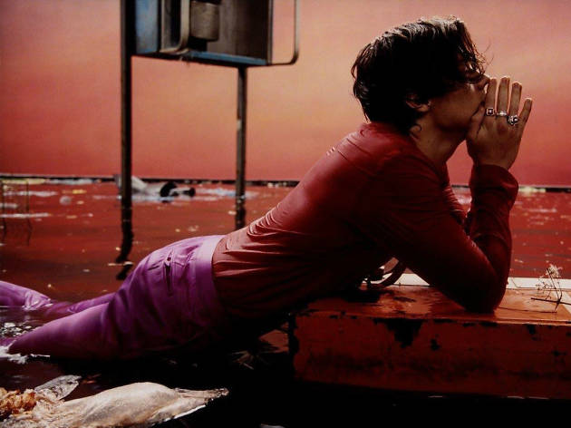 Harry Styles Harry Styles en la CDMX