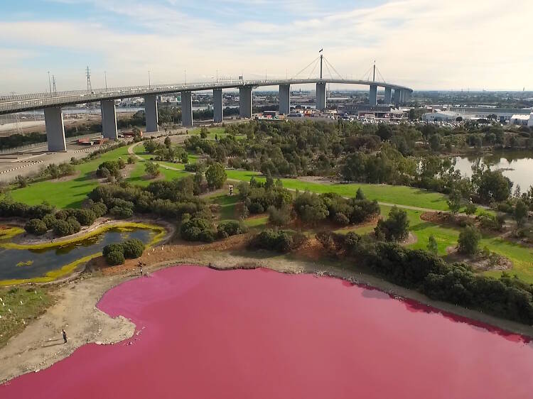 Visit a pink lake near the CBD