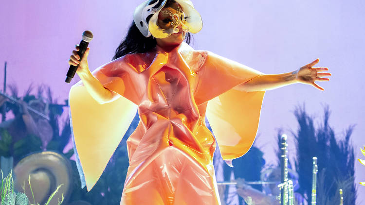 Björk: la consagració del Primavera