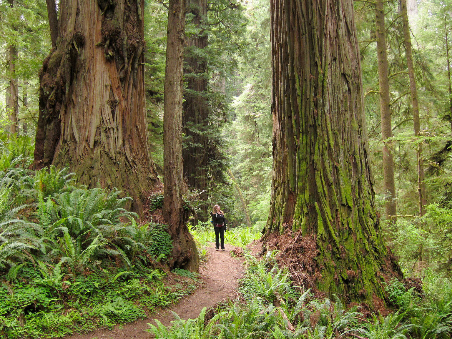 TOP THINGS TO DO IN CALIFORNIA visual data 3