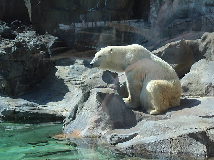 Henry Doorly Zoo