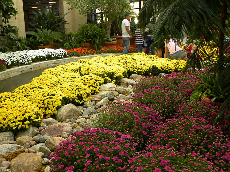 Nebraska: Smell the roses in the Lauritzen Gardens