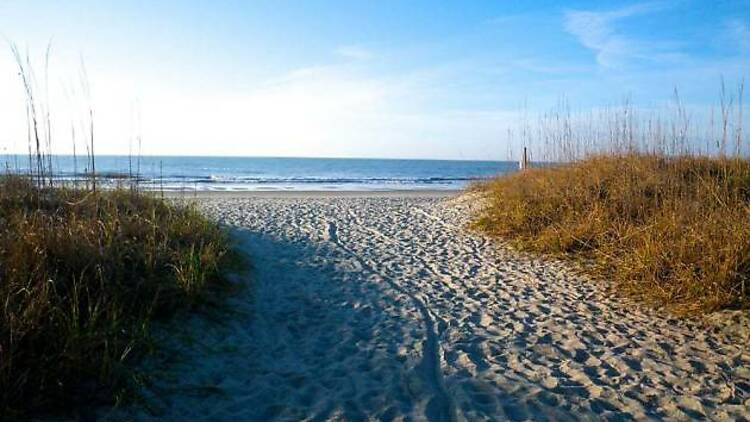 Myrtle Beach State Park