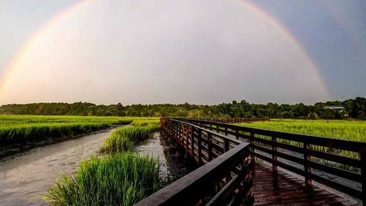 Huntington Beach State Park