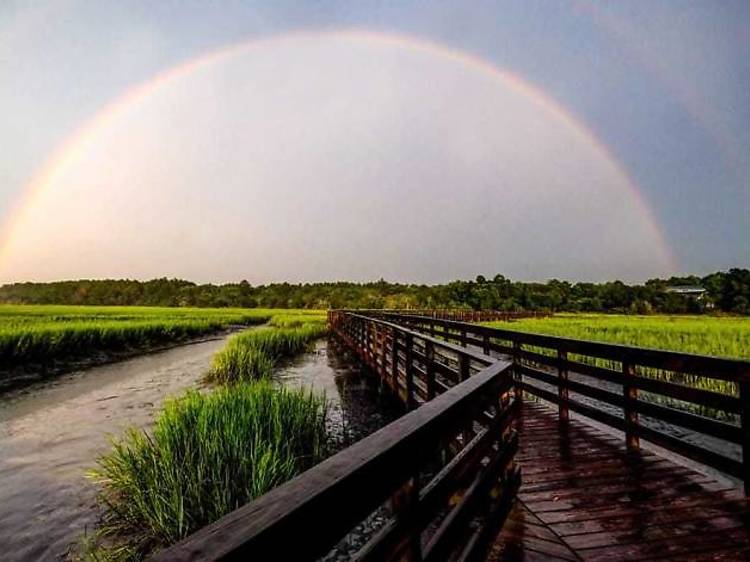 Huntington Beach State Park