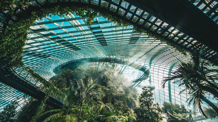 Gardens by the Bay – Cloud Forest
