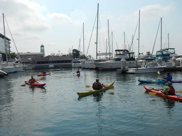 Kayaking in the Bay
