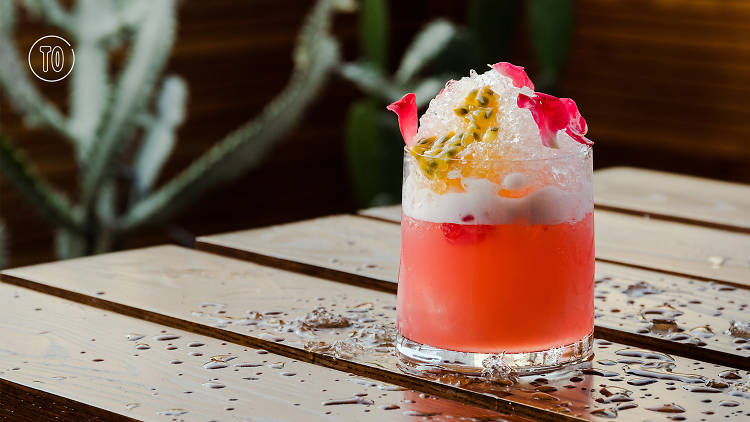 Cactus, Cocktail, Bar, Sathorn