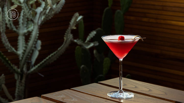 Cactus, Cocktail, Bar, Sathorn