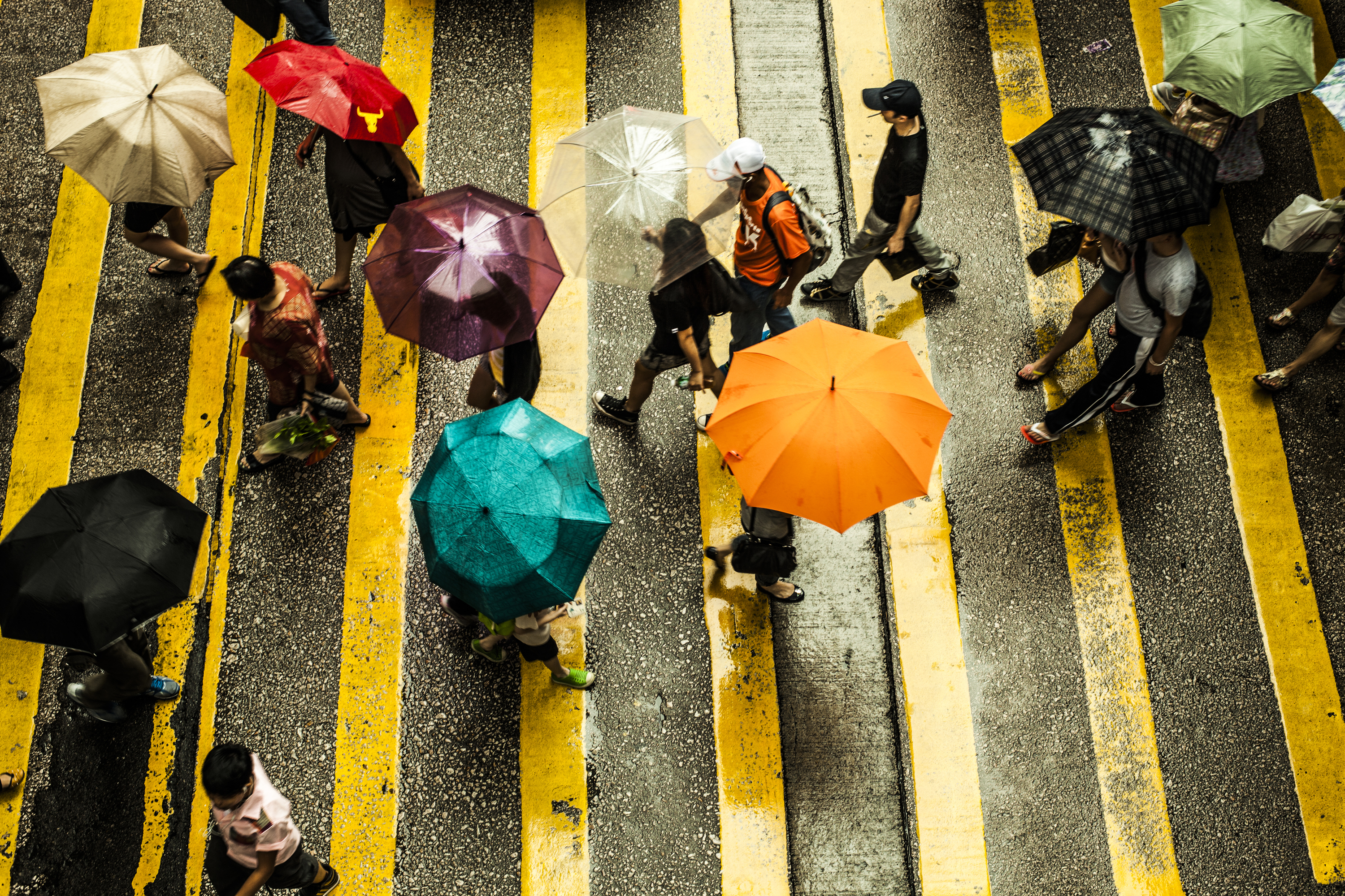 30 Awesome Things To Do In Hong Kong On A Rainy Day Time Out