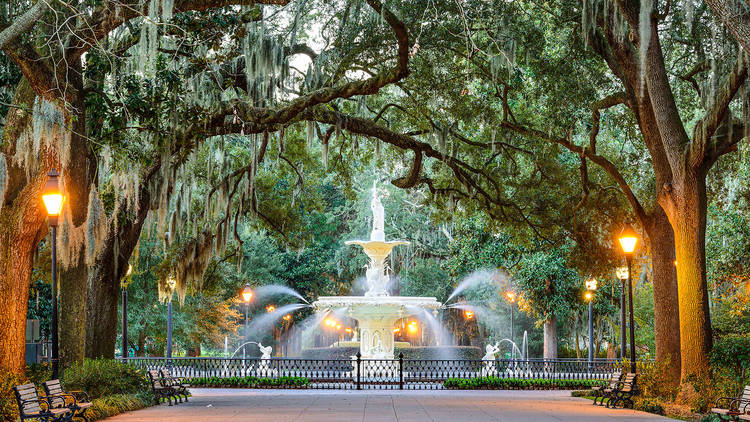 The ultimate guide to Savannah