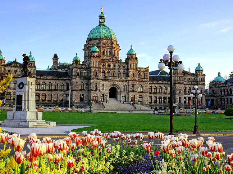 11 really fun things to do in Victoria