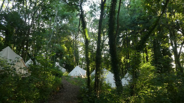 The Sharpham Trust, Devon