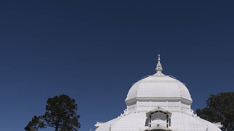 Conservatory of Flowers