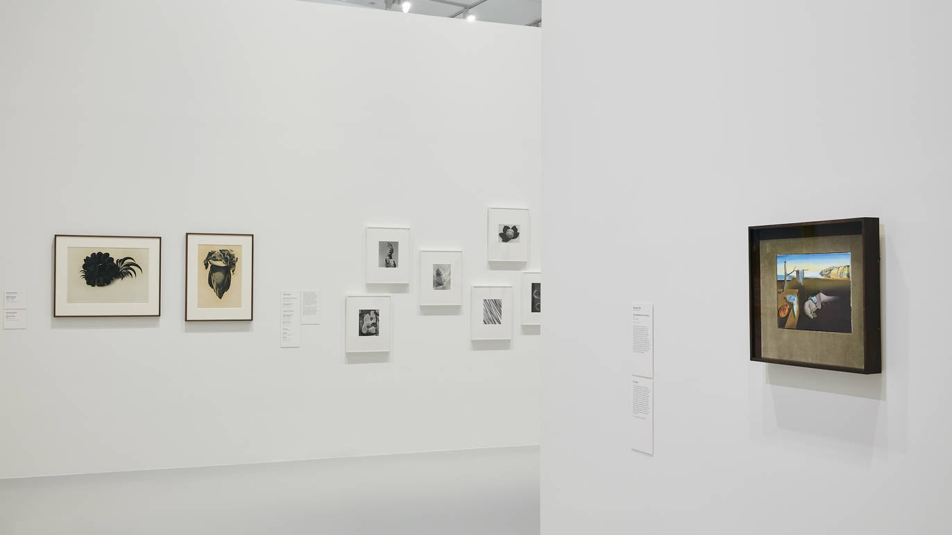 MoMA at NGV: 130 Years of Modern and Contemporary Art | Art in Melbourne