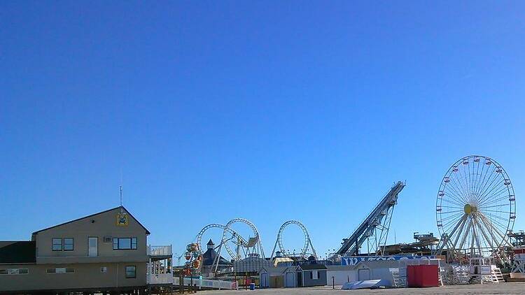 Wildwood	