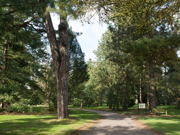 The Arboretum at Kew Gardens