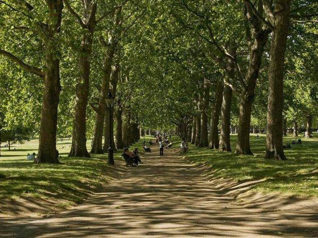 15 Best Picnic Spots in London For An Al Fresco Lunch