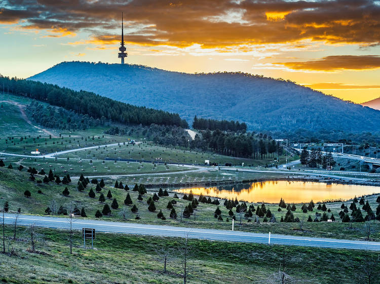 The 14 best things to do in Canberra