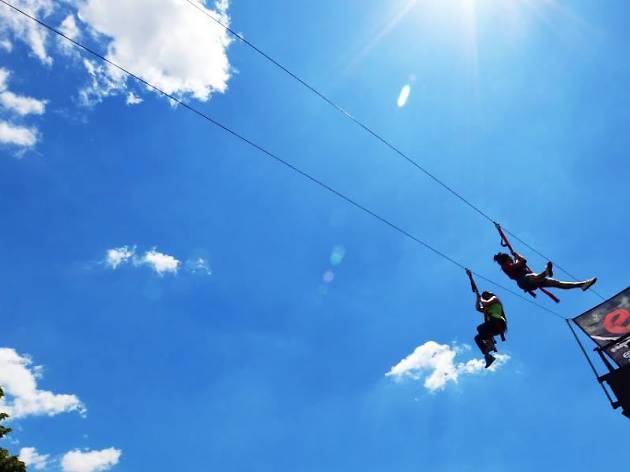 Best Zip Lining In New York To Try Now