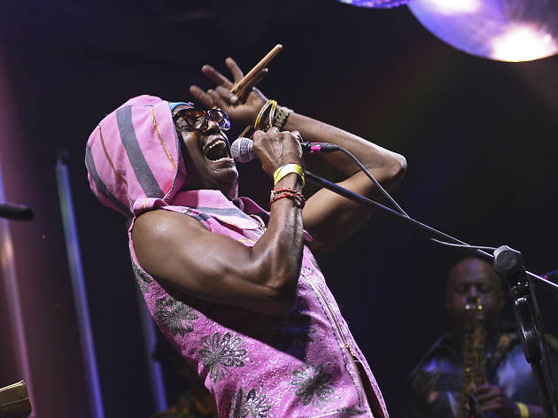Antibalas en la Semana IR Antibalas en la Semana IR