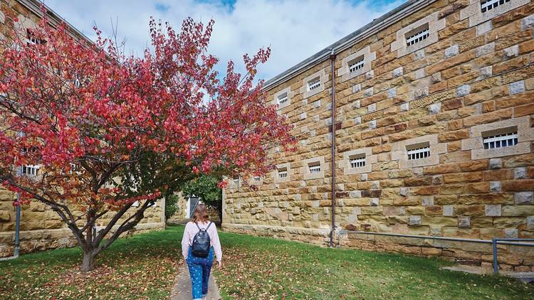 Old Castlemaine Gaol (Photograph: Supplied)