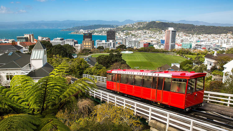 The ultimate guide to Wellington