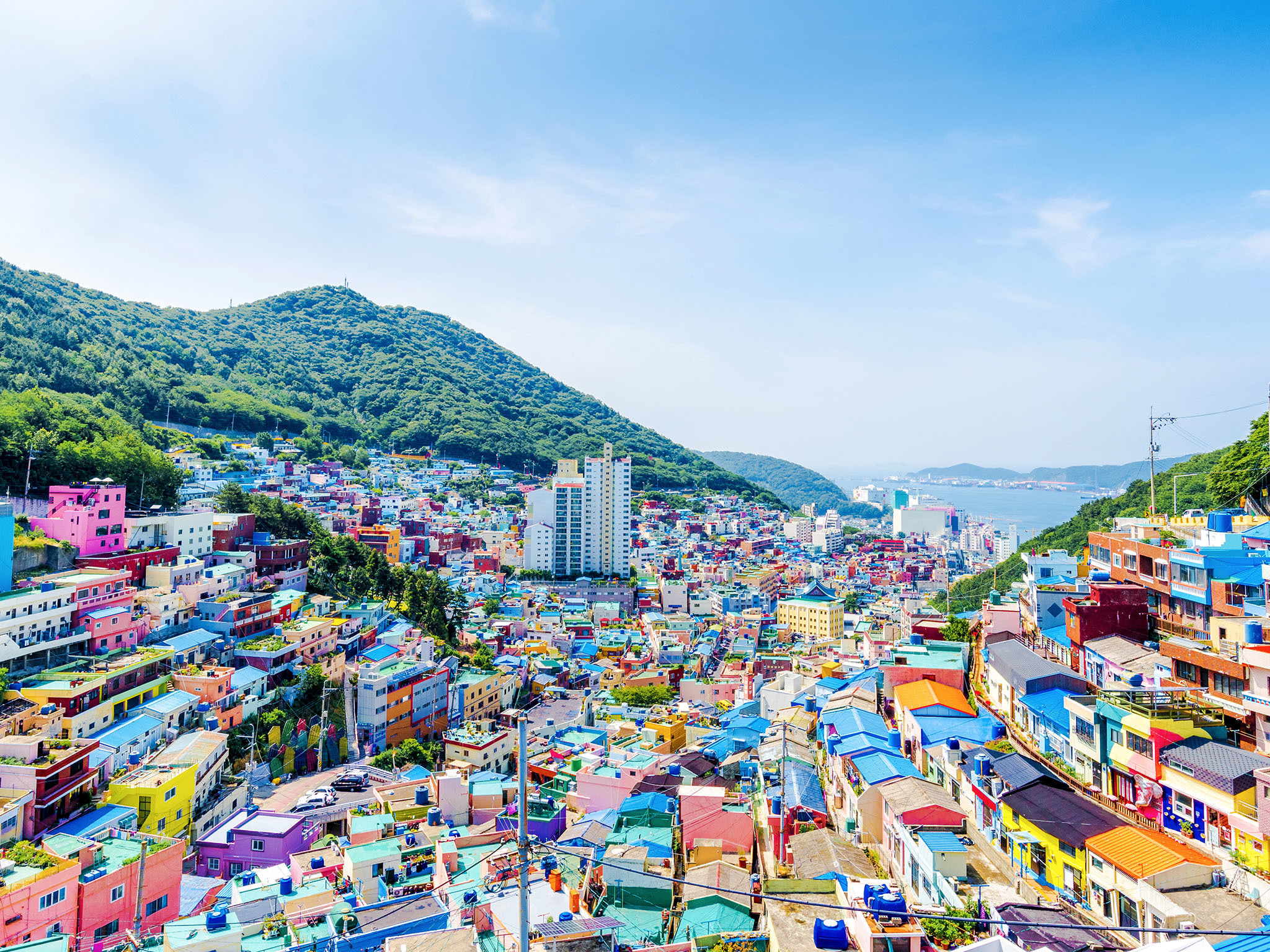 tourist guide to busan