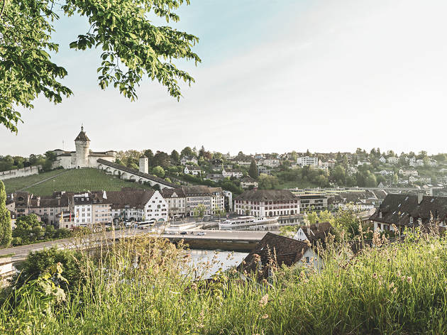 SWITZERLAND SUMMER Schaffhausen, Panorama