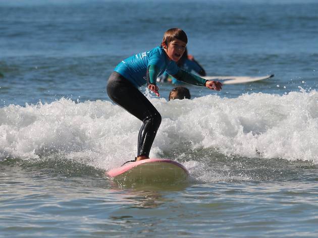 Fish Surf School Fish Surf School