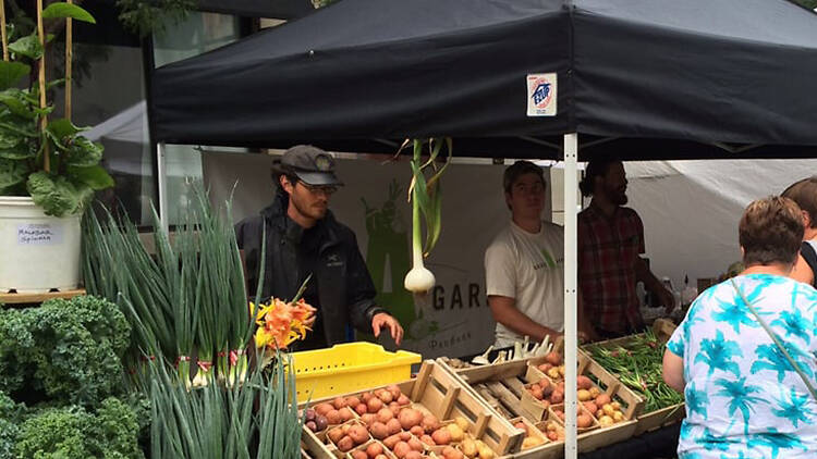 Downtown Farmers’ Market