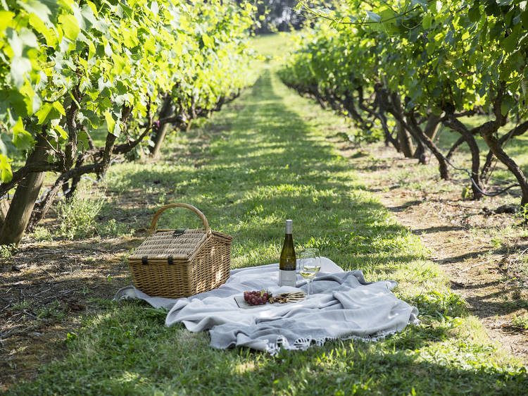 Mornington's delightful but not eye-poppingly expensive accommodation: Lindenderry at Red Hill