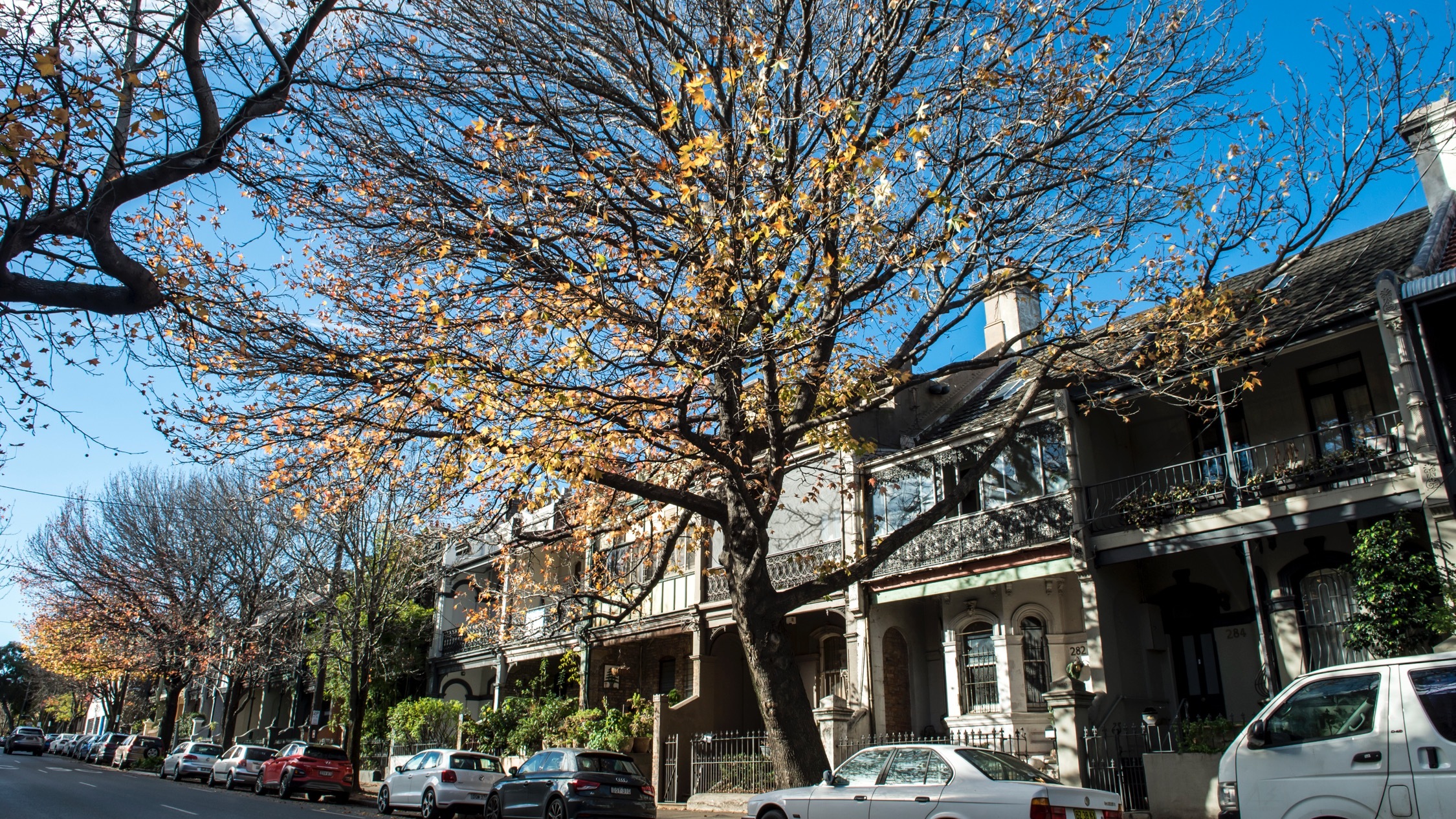 timeout.com - Olivia Hart - New data reveals Sydney property tends to sell more than $110k above the price guide