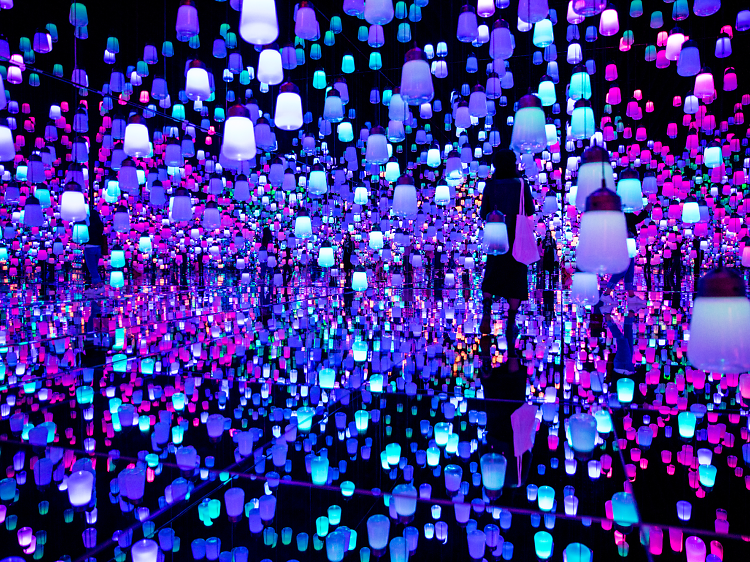 Guide to the Mori Building Digital Art Museum Epson teamLab Borderless