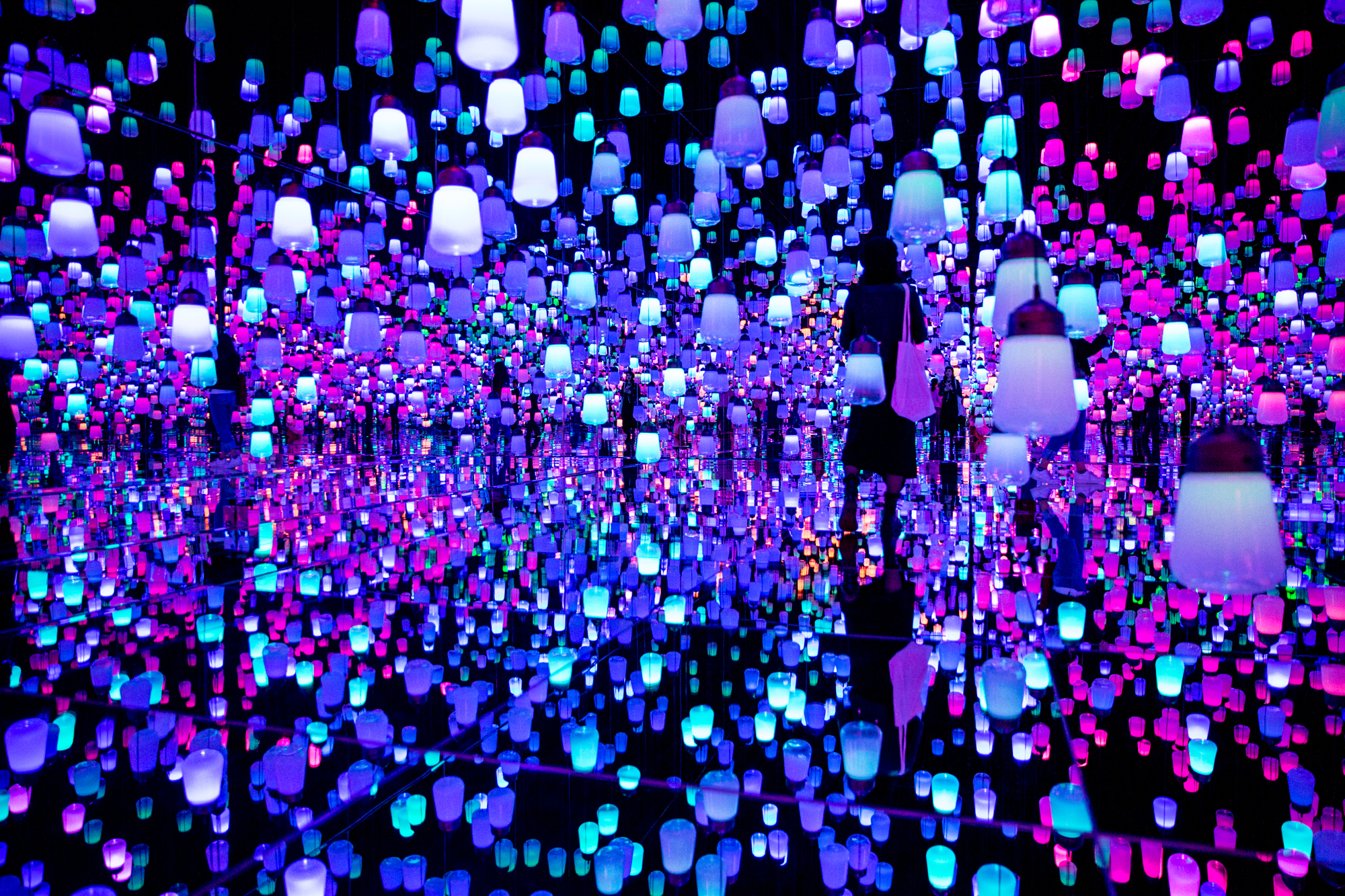 Exhibit guide to the Mori Building Digital Art Museum Epson teamLab ...