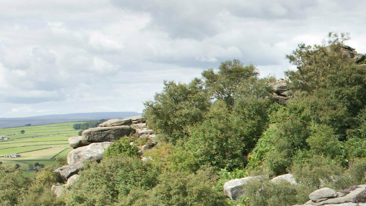 Stretch your legs at Brimham Rocks